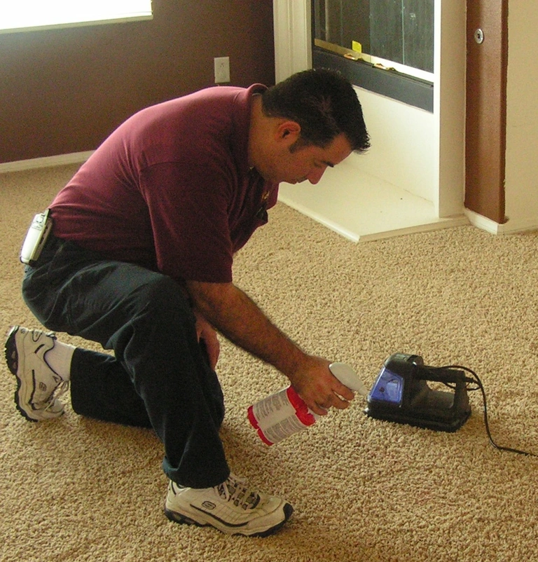Professional rug cleaning service in Bakersfield using truck-mounted steam equipment